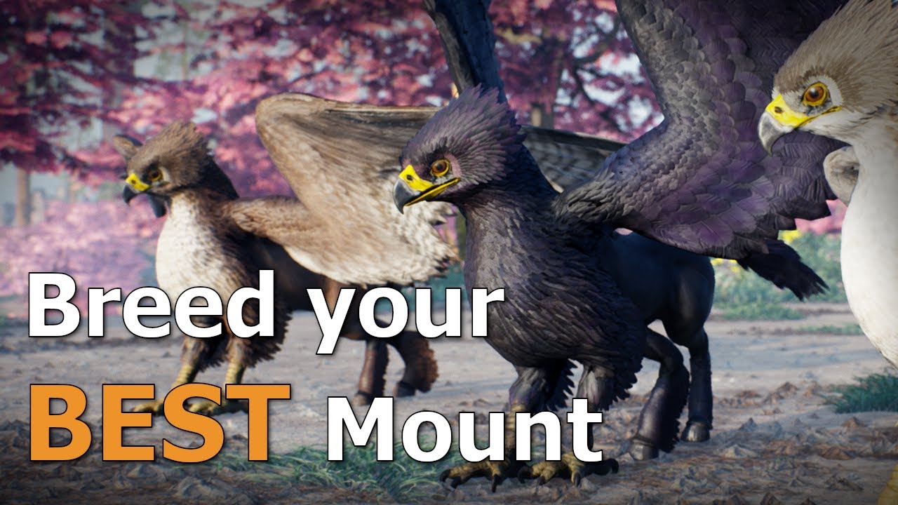 Breed the PERFECT Mounts for You and Your Friends | October 2021 Dev ...