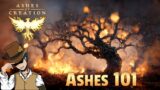 Ashes 101 – The Ashes of Creation Q&A Show – 25 Nov 2022